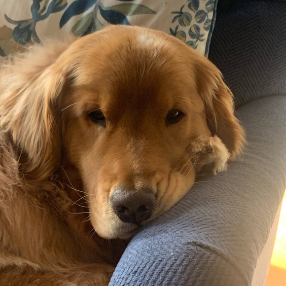 Meet your Posher, Dawn - Picture 10 of 12